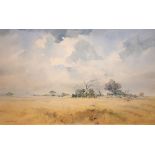 Douglas Tannahill - Watercolour - African landscape, signed lower left, 36cm x 55cm, framed and