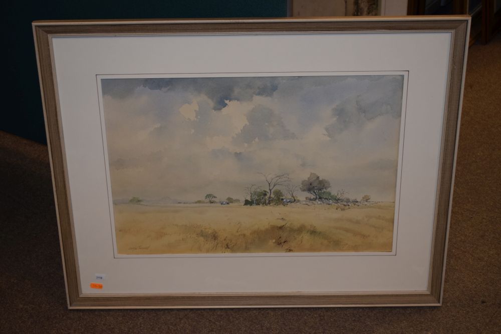 Douglas Tannahill - Watercolour - African landscape, signed lower left, 36cm x 55cm, framed and - Image 2 of 6