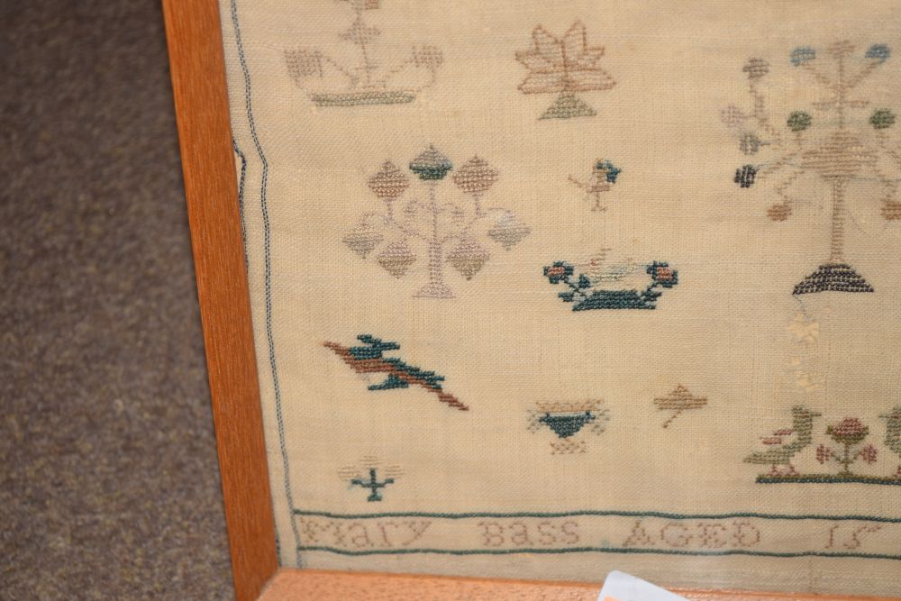Needlework sampler worked in petit point by Mary Bass, 1838, 42.5cm x 34cm Condition: Some holes - Image 6 of 7