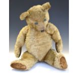 Early 20th Century golden mohair teddy bear, 60cm high Condition: Loss of mohair in places, would