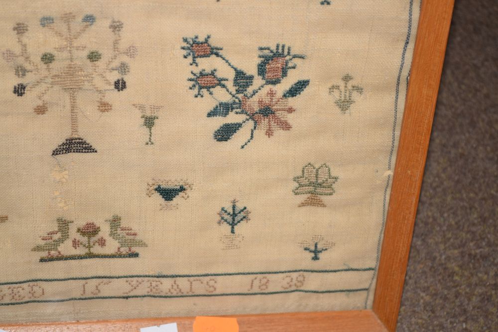 Needlework sampler worked in petit point by Mary Bass, 1838, 42.5cm x 34cm Condition: Some holes - Image 5 of 7
