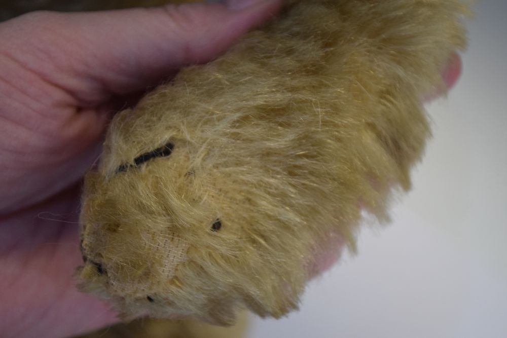 Early 20th Century golden mohair teddy bear, 60cm high Condition: Loss of mohair in places, would - Image 6 of 9