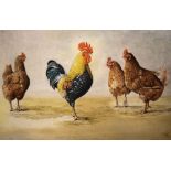 Malcolm John - Oil on board - Cockerel and chickens, signed and dated '77 lower right, 50cm x