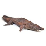 Taxidermy - Antique preserved Caiman (caiman crocodilus fuscus)