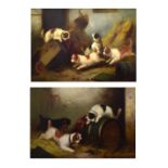 George Armfield (1808 - 1893) - Pair of oils on canvas