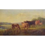 Manner of Thomas Sidney Cooper - Oil on canvas - Cattle in a pasture