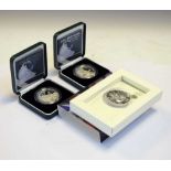 Coins - Three Queen Elizabeth II Britannia / £2 coins in presentation cases (2x2007, 1x2011)