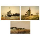 Ashley Bolch - Three Limited Edition Aquatints