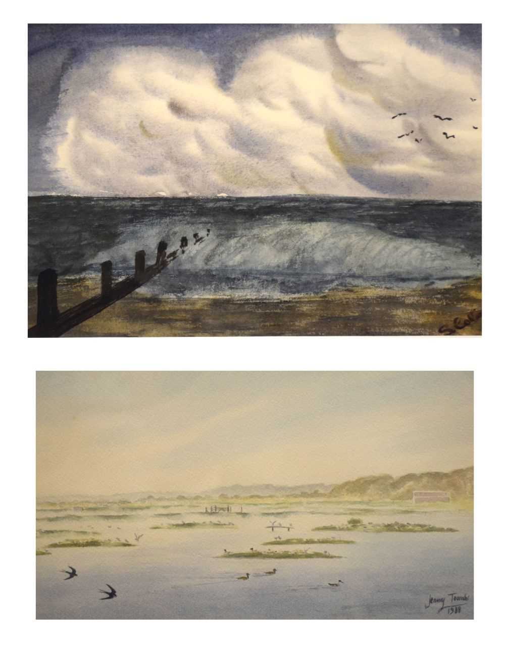 Watercolours - two landscapes with birds