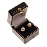 Pair of cultured pearl ear studs