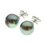 Pair of tinted cultured pearl ear studs, possibly Pinctada,