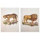 Various prints and pictures Tigers Lions etc