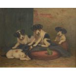 Sophie Sperlich (1863-1906) - Oil on canvas - Puppies observing a frog