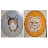 Pair oval cat studies - Bristol Savages artist David Blake