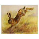 Kate Wyatt - Limited edition print - Hare