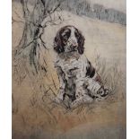 Henry Wilkinson - Coloured etching - Springer Spaniel, signed
