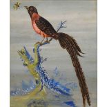 After Robert Morris - Oil on Board - Lyre Bird or Long Tailed Flycatcher