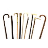 Assorted sticks, canes and parasols including horn handled