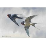 Edwin Penny, (1930-2016) - watercolour - two swallows in flight