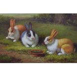 20th Century English School - Oil on canvas - Three rabbits