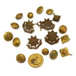 Group of Military Buttons, Regimental cap and lapel badges