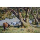 Kenneth Yockney (20th Century) - Watercolour - Ponies grazing beneath trees