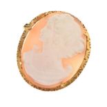 Modern 9ct gold shell cameo brooch