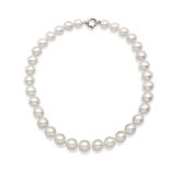 One strand of South Sea pearl necklace weight 108 gr.