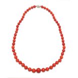 Red coral necklace weight 72 gr.