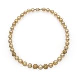 Golden South Sea pearl strand necklace