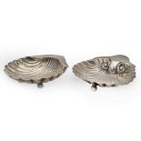 Two silver shells