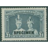 1938 £1 bluish slate optd SPECIMEN, UM, SG.178s. Cat £800