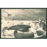 PENGUINS France - 1906 postcard 'Le 'Gauss' entouré par les animaux antarctiques Palais de la