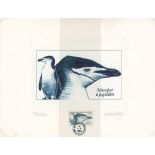 PENGUINS Terres Australes et Antarctiques Francaises - 1999 Épreuve de luxe of the 1999 2f 70c