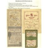UNUSUAL ASSORTMENT - collection housed in eight ring binders predominantly Cinderella or 'back of