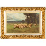 Landscape Painting of Sheep