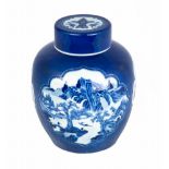 Chinese Blue & White Kangxi Ginger Jar