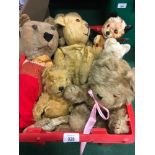 Collection of vintage teddy bears.