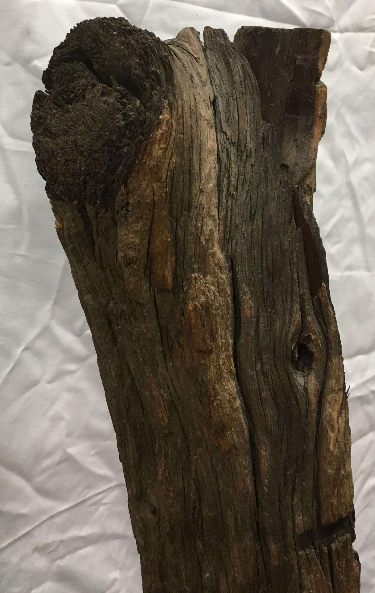 Contemporary drift wood sculpture on box plinth 80 cm tall - Image 4 of 7