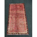 Arak repeated design rug in red and cream. 168x90