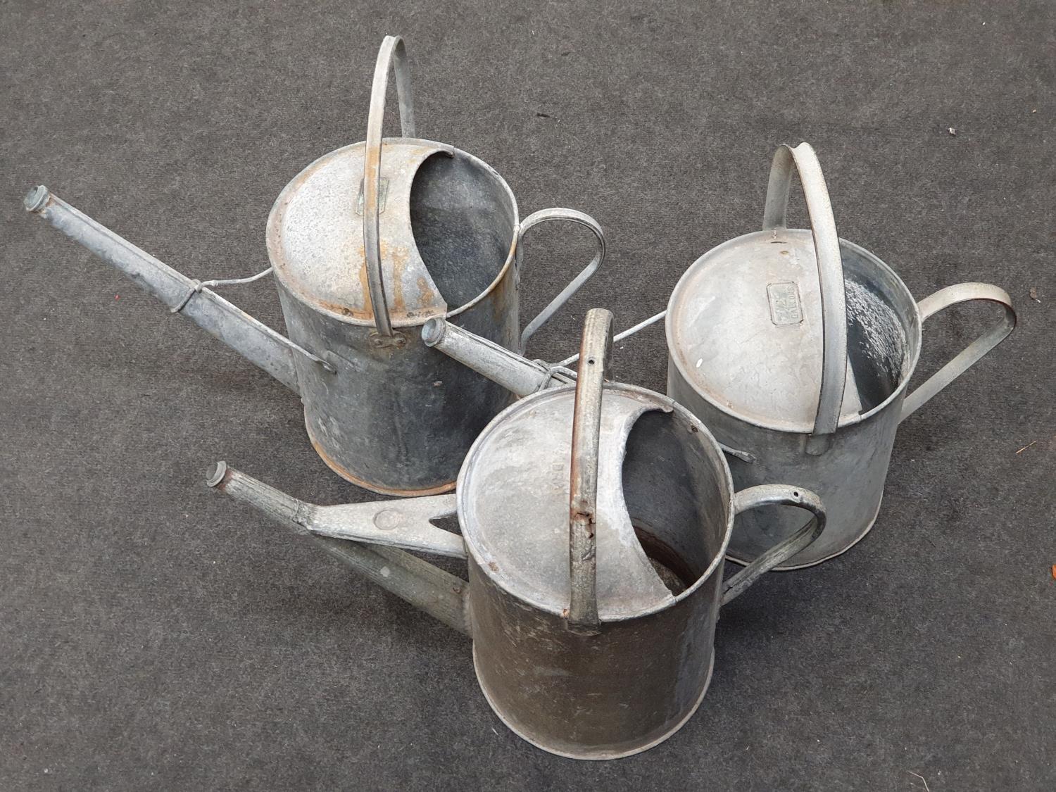 3 x galvanised watering cans - Image 2 of 5