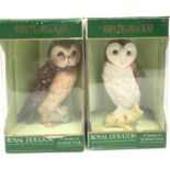 A rare pair of Whyte and Mackay Scotch whisky decanters in the shape of Royal Doulton ceramic owls a