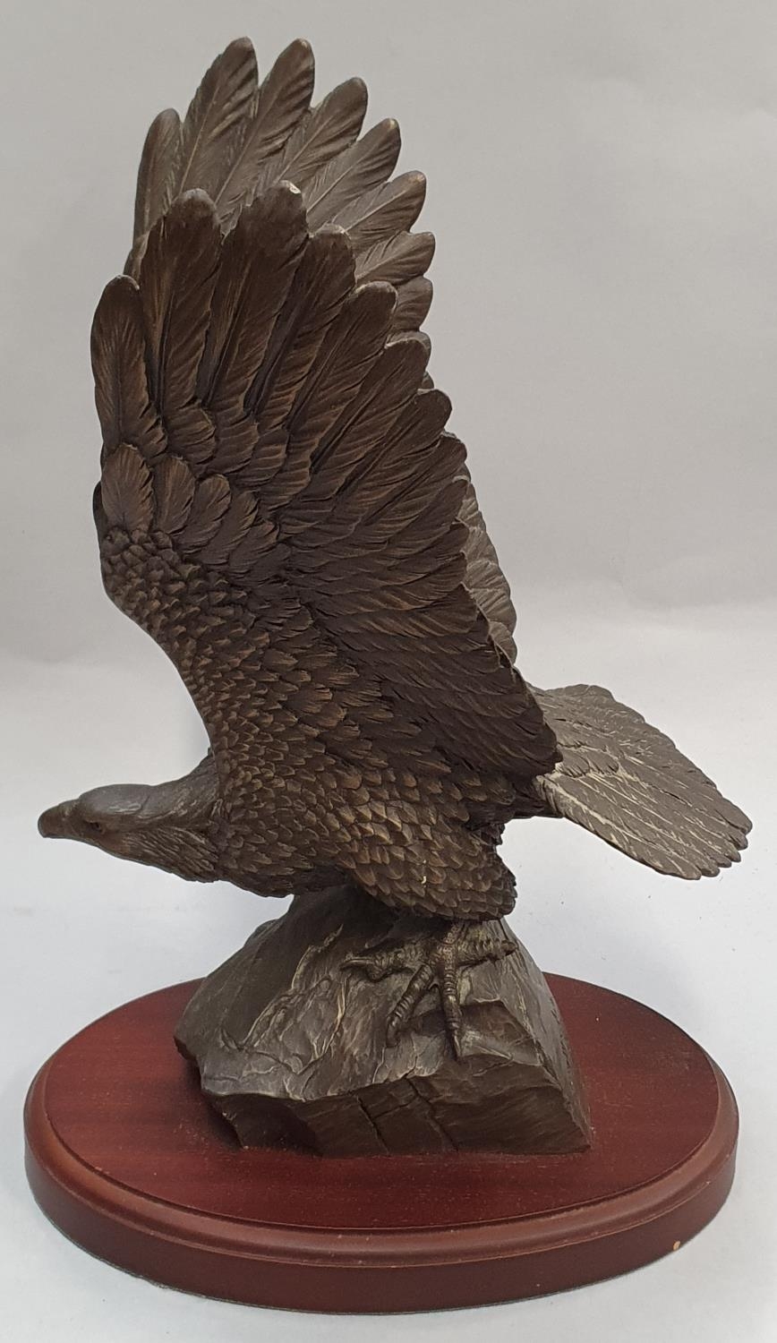 Heredites limited edition eagle by Tom Mackie 406/500 with certificate 32x15.5x21cm. - Image 6 of 8