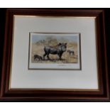 David Shepherd "Warthog Family" embossed stamp Limited Edition 482/650 with COA, framed & glazed