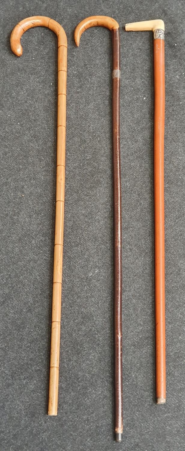 3 walking stick one silver wrapped and another bamboo shaped
