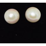 A pair of large cultured pearl stud earrings on silver posts.