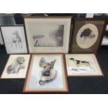 Collection of pictures of dogs of varying sizes some signed (6)