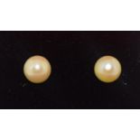 A pair of pearl stud earrings on silver posts cased.