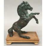 Bronzed model of a rearing horse on wooden base.