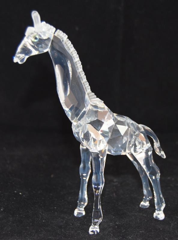 Swarovski Crystal Baby Giraffe from the African Wildlife collection code 236717 retired, boxed